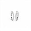 Holo Gold Diamond Earrings