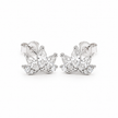 Noor Crown Zircon Silver Stud Earrings for women in Pakistan, white 925 sterling silver catalog view